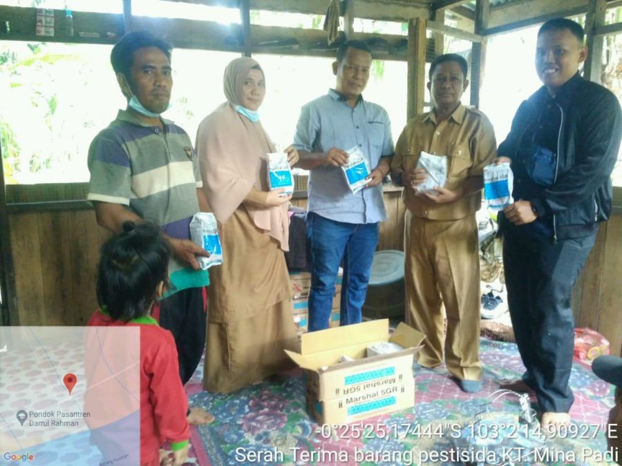Disbun Provinsi Lakukan Penyaluran Insetisida pada Tanaman Kelapa Inhil