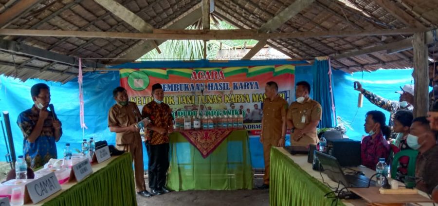 Launching Perdana Pupuk Kelapa dan Sawit, Disbun Inhil Bangga Pada Kelompok Tani TKM Petalongan
