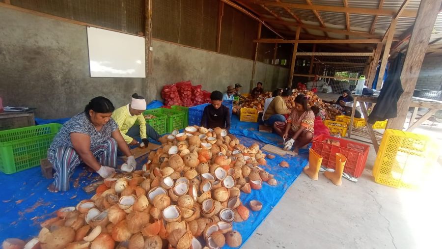 Lima Putra Inhil Sukes Beri Pelatihan Kelompok Tani di Kabupaten Pulau Morotai