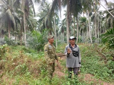 Babinsa 03/Tempuling dan Warga Sisir Tapal Batas Sungai Salak, Jaga Kondisi Wilayah